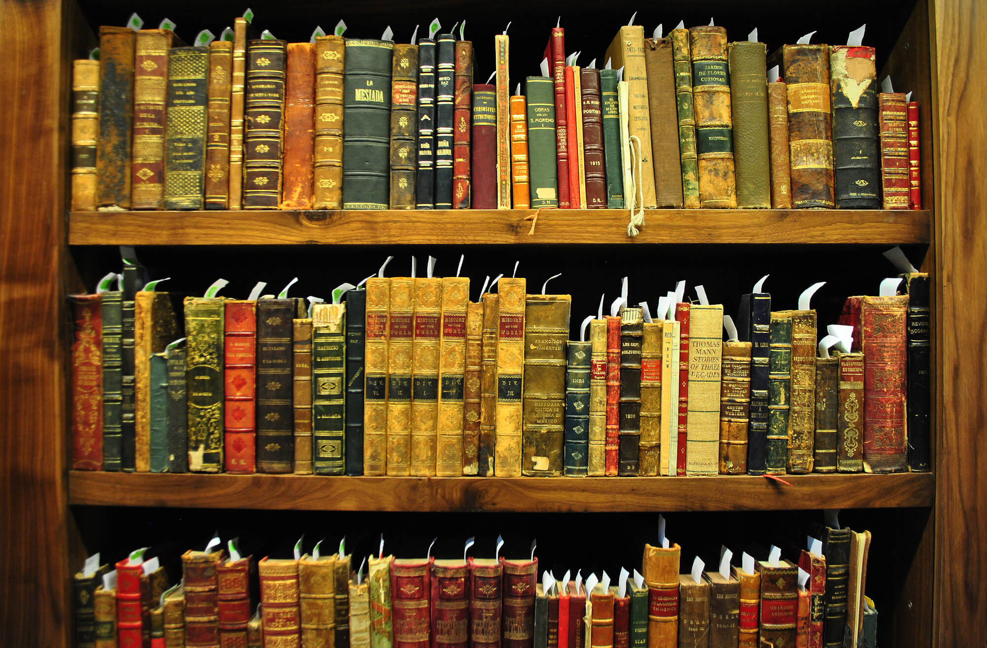 Biblioteca y documentación